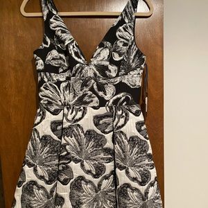 Vera Wang Dress, Tags Attached